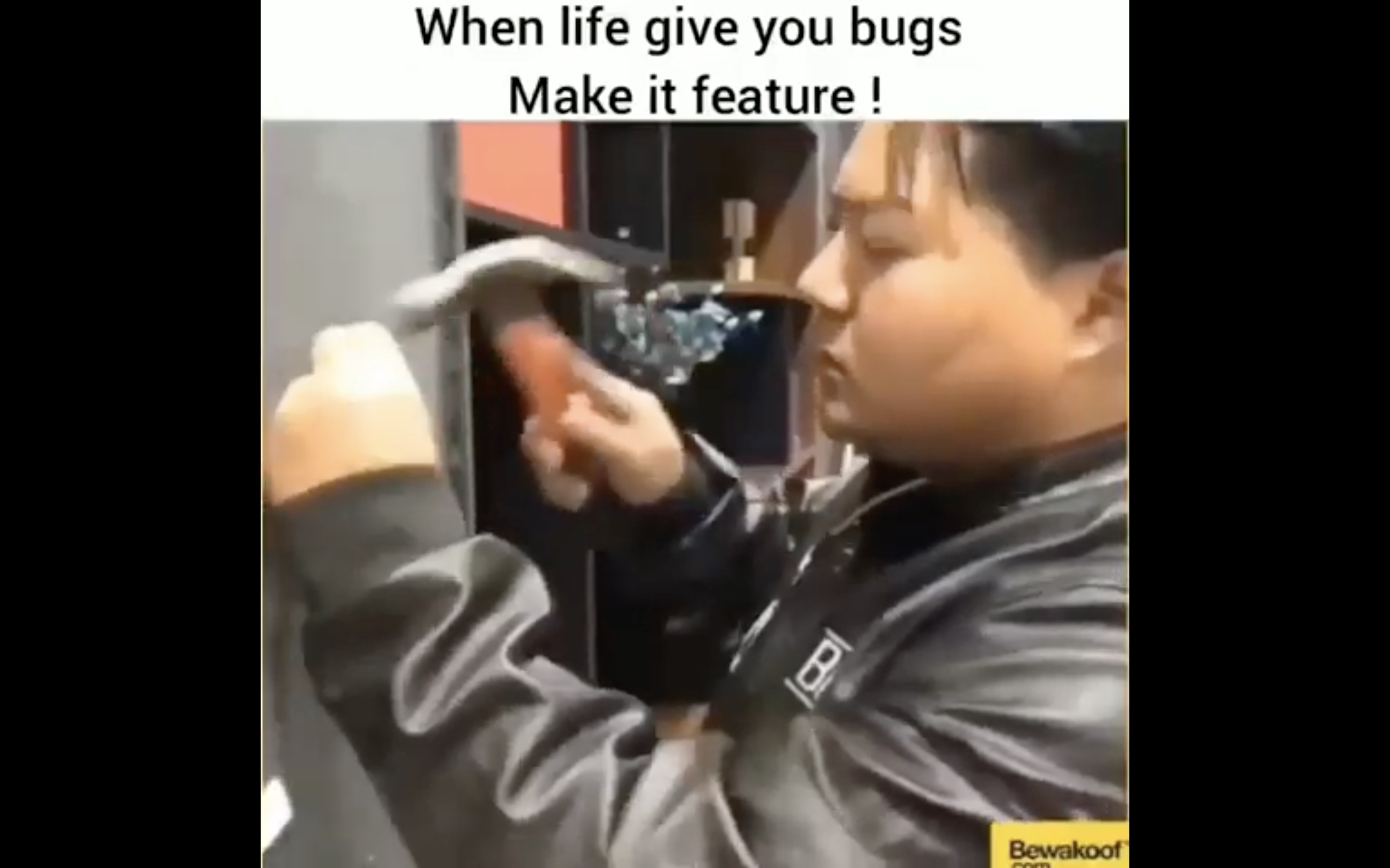 When life gives you bugs, make it a feature Omdenken