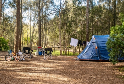 Family tent setup in a bush forest in australia 2023 11 27 04 56 03 utc min